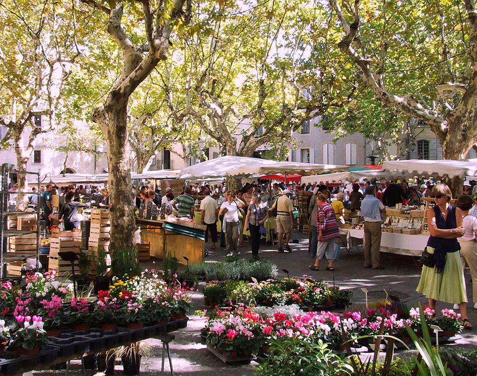 Les Jardins D'Holi Proche Uzes Bed & Breakfast Garrigues-et-Sainte-Eulalie Exterior photo